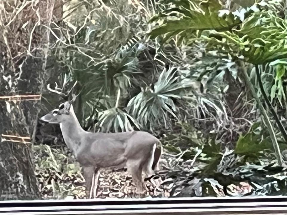 En Venta: $580,000 (3 camas, 3 baños, 1444 Pies cuadrados)