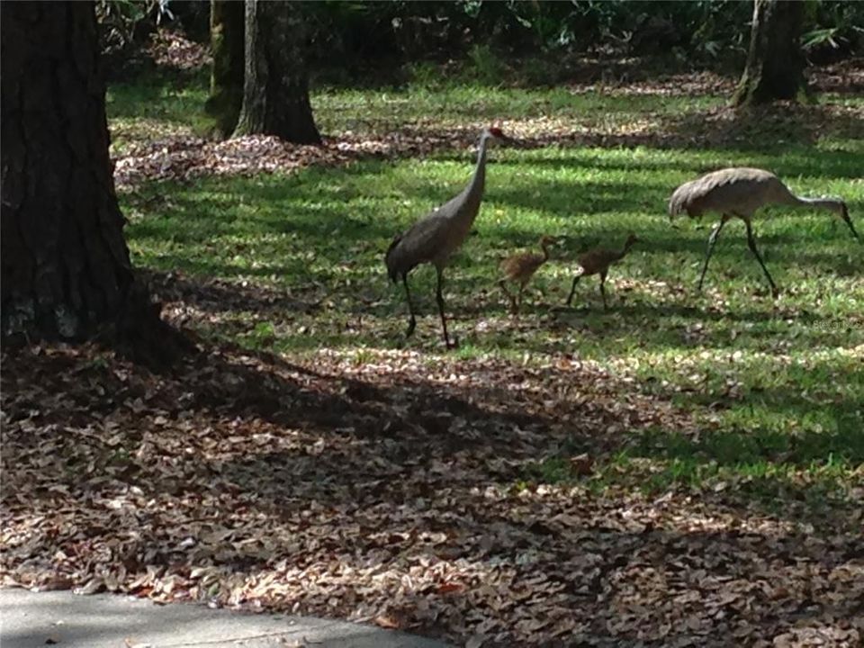 En Venta: $580,000 (3 camas, 3 baños, 1444 Pies cuadrados)