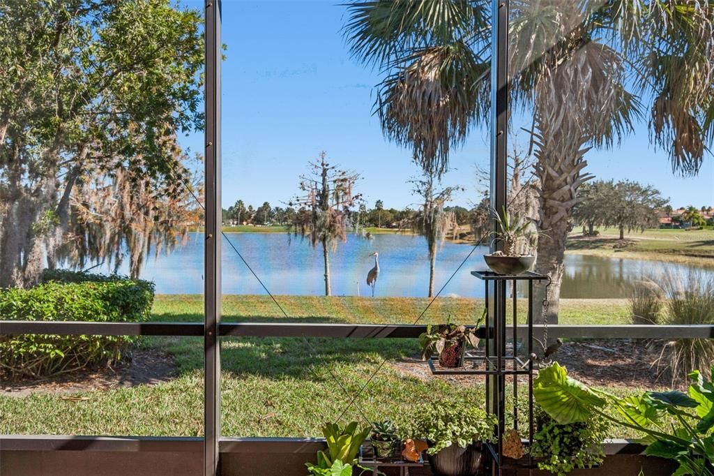 En Venta: $310,000 (2 camas, 2 baños, 1539 Pies cuadrados)