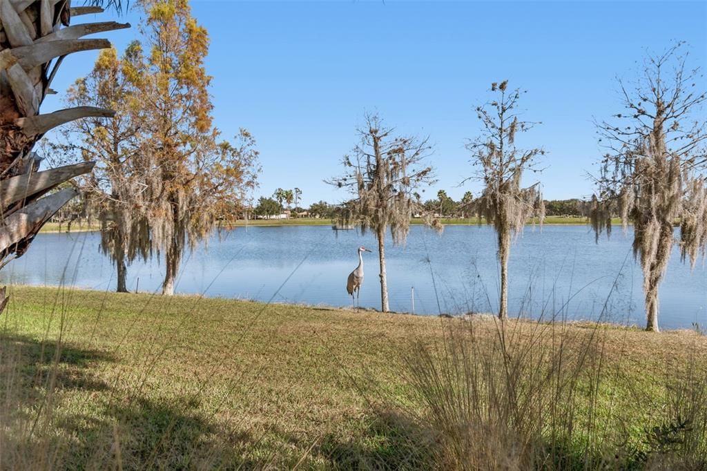 En Venta: $310,000 (2 camas, 2 baños, 1539 Pies cuadrados)