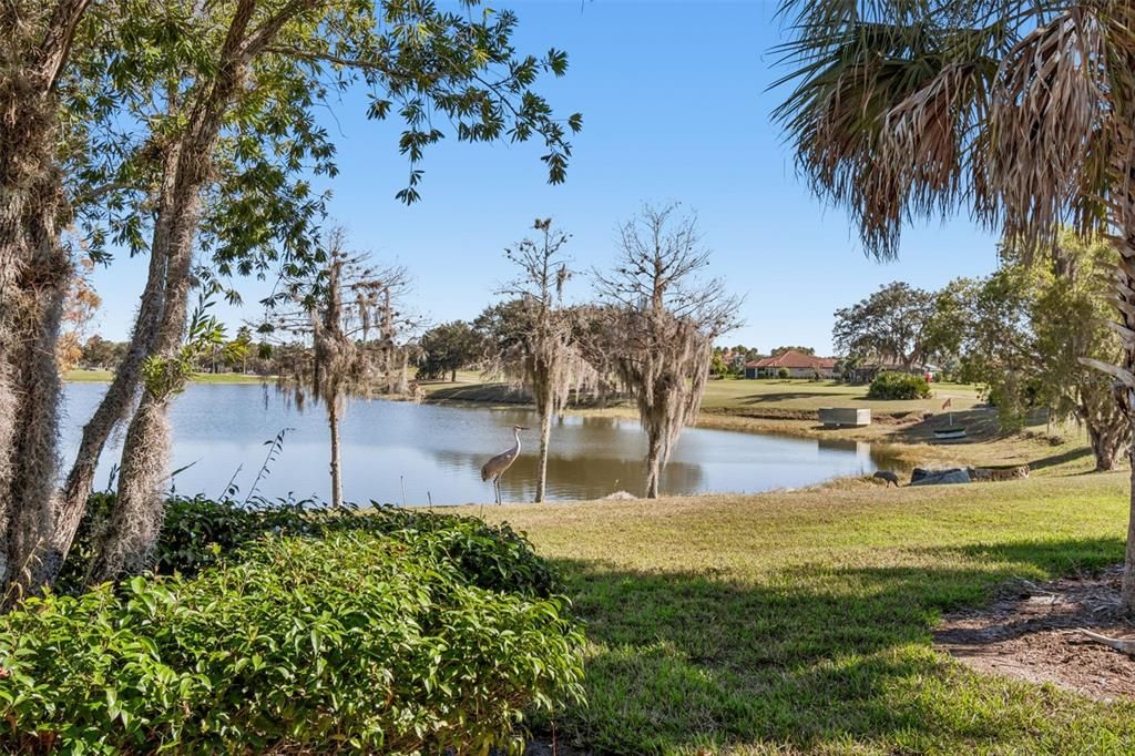 En Venta: $310,000 (2 camas, 2 baños, 1539 Pies cuadrados)