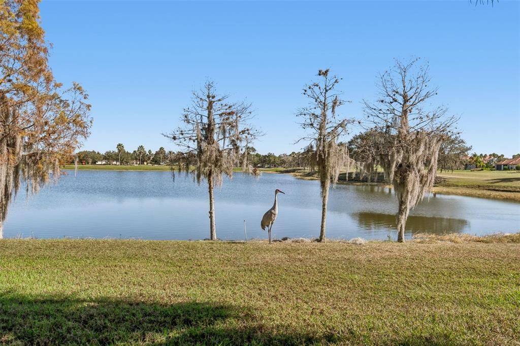 En Venta: $310,000 (2 camas, 2 baños, 1539 Pies cuadrados)