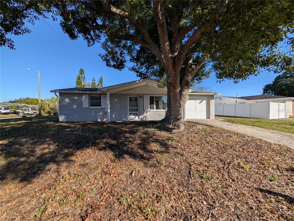 出租: $1,400 (2 贝兹, 1 浴室, 768 平方英尺)