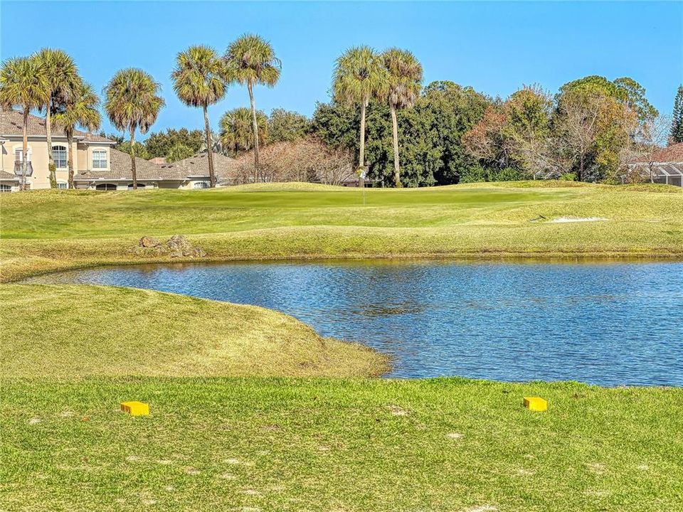 Под контрактом: $370,000 (3 спален, 2 ванн, 1704 Квадратных фут)