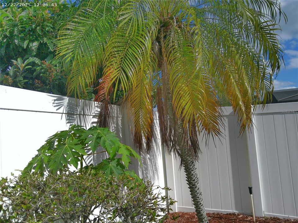 For Sale: $435,000 (4 beds, 2 baths, 1847 Square Feet)