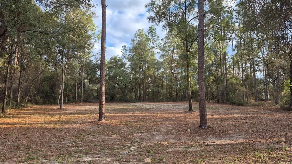 For Sale: $25,000 (0.35 acres)