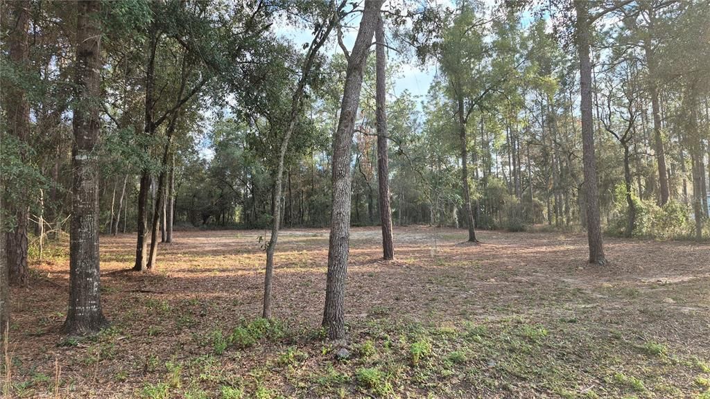 For Sale: $25,000 (0.35 acres)