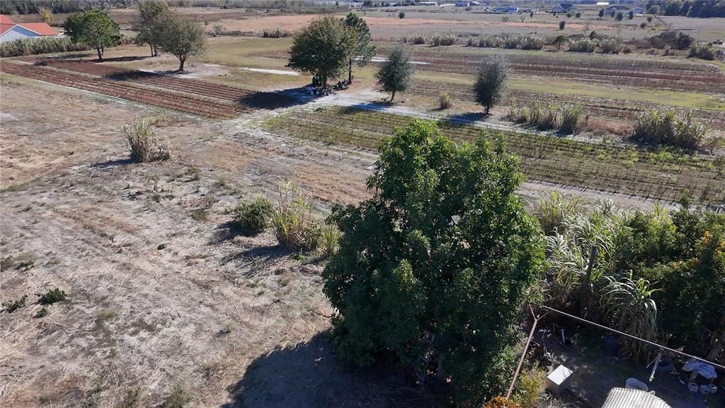 For Sale: $349,000 (5.10 acres)