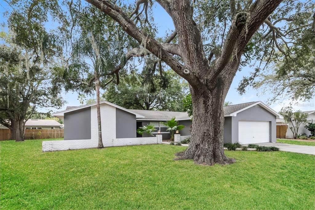 For Sale: $295,000 (4 beds, 2 baths, 1609 Square Feet)