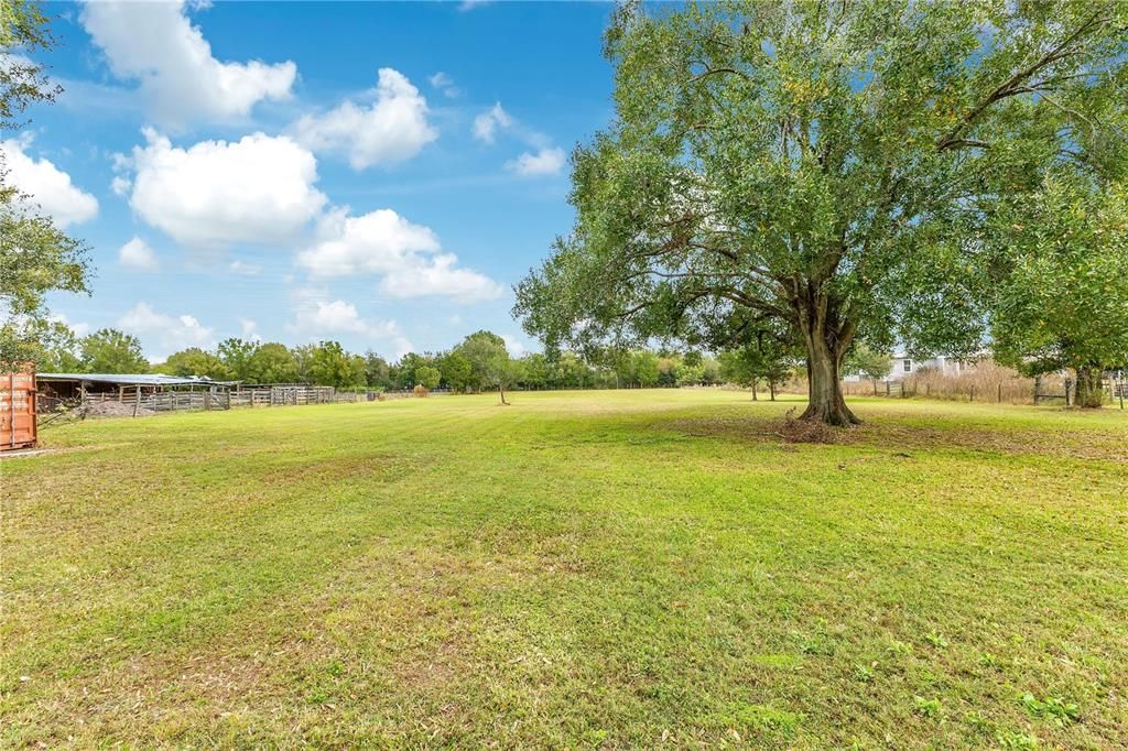 For Sale: $475,000 (3 beds, 2 baths, 2027 Square Feet)