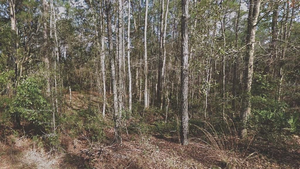 待售: $10,000 (0.55 acres)