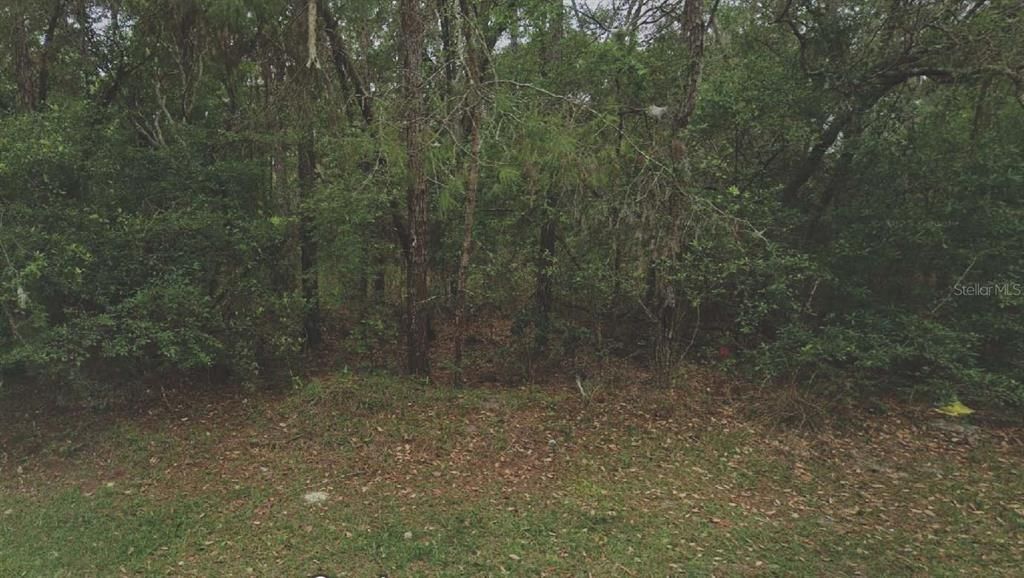 待售: $10,000 (0.23 acres)