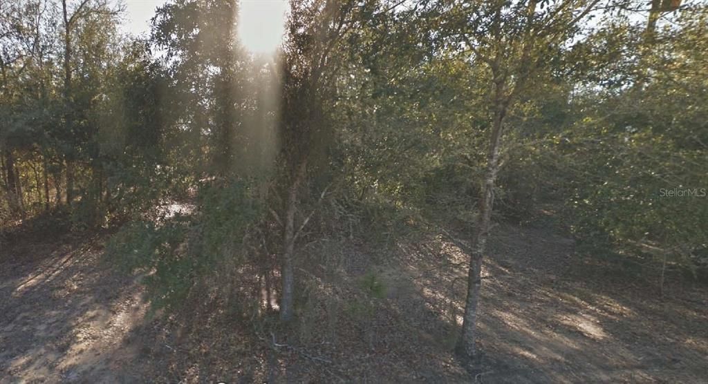 En Venta: $7,000 (0.20 acres)