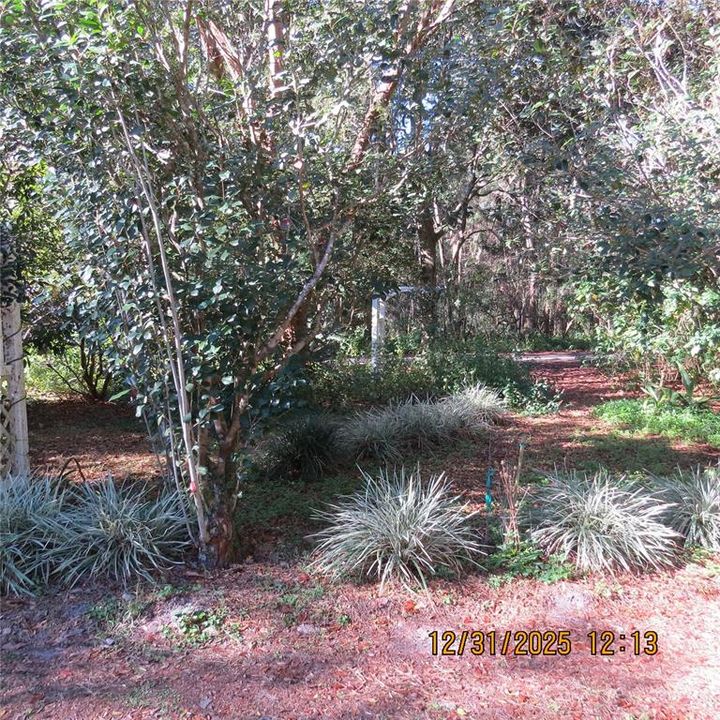 For Sale: $340,000 (3 beds, 2 baths, 1665 Square Feet)