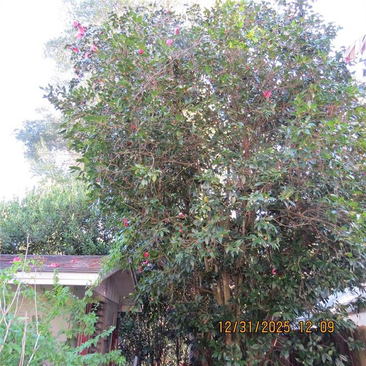 For Sale: $340,000 (3 beds, 2 baths, 1665 Square Feet)