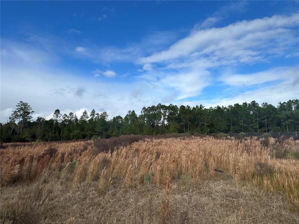 For Sale: $42,000 (0 beds, 0 baths, 0 Square Feet)