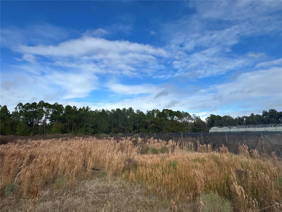 For Sale: $42,000 (0 beds, 0 baths, 0 Square Feet)