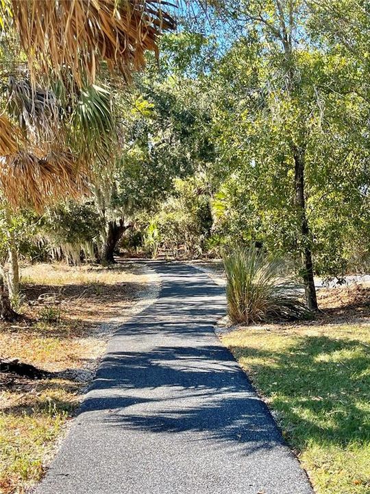 出租: $4,200 (5 贝兹, 4 浴室, 3019 平方英尺)