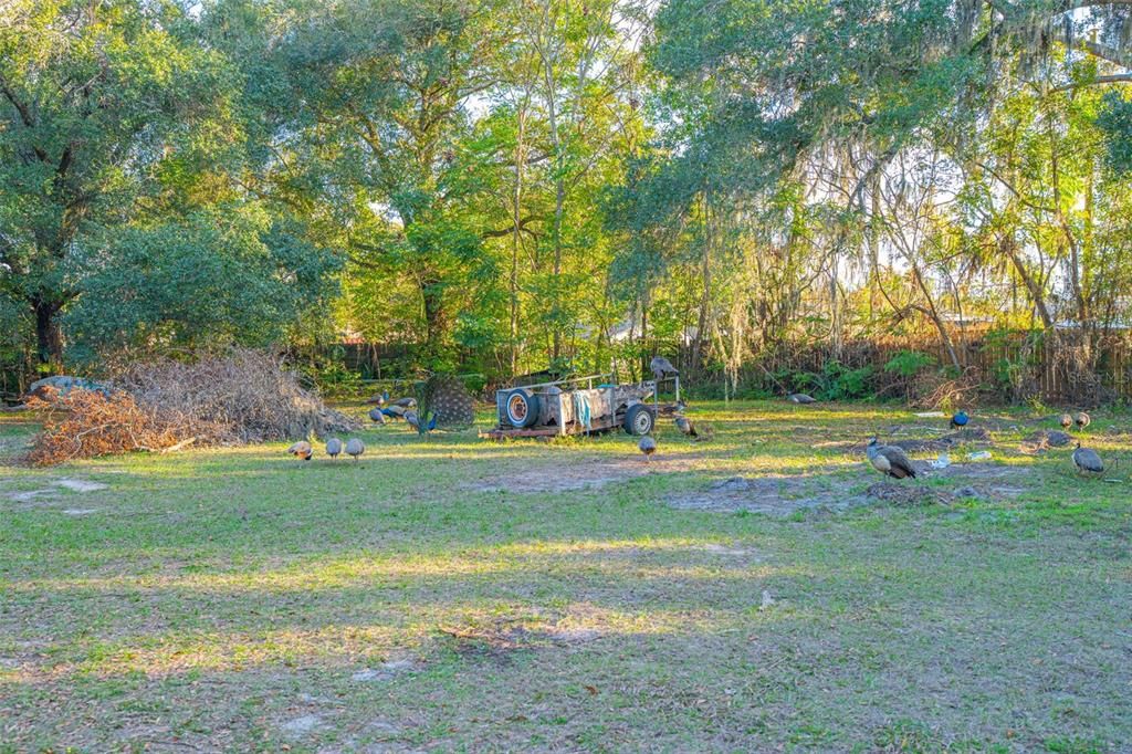 待售: $299,900 (1.48 acres)