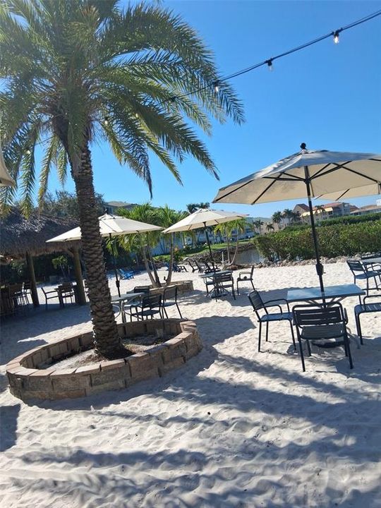 出租: $3,200 (1 贝兹, 1 浴室, 760 平方英尺)