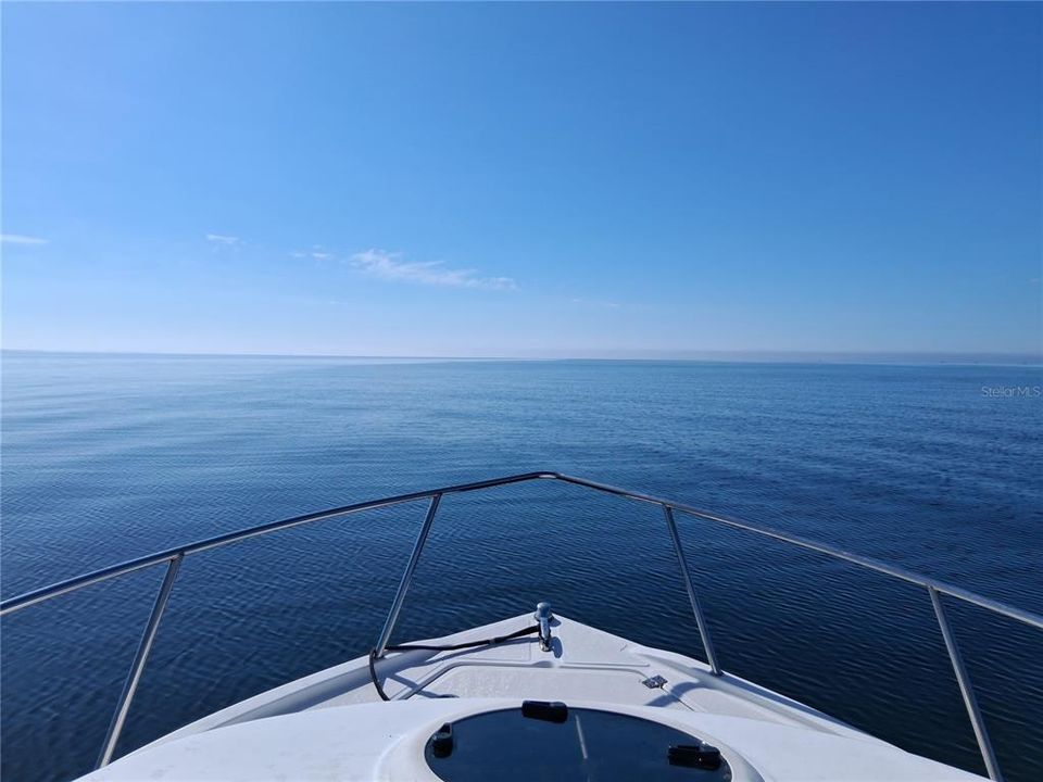 出租: $3,200 (1 贝兹, 1 浴室, 760 平方英尺)