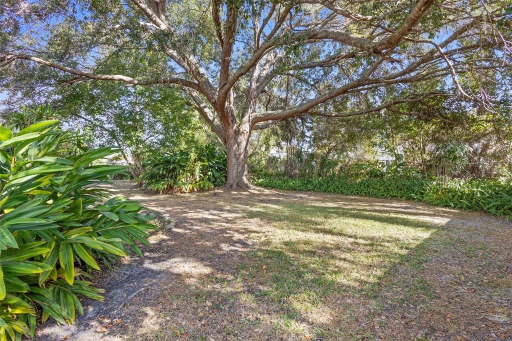 待售: $240,000 (3 贝兹, 1 浴室, 1228 平方英尺)