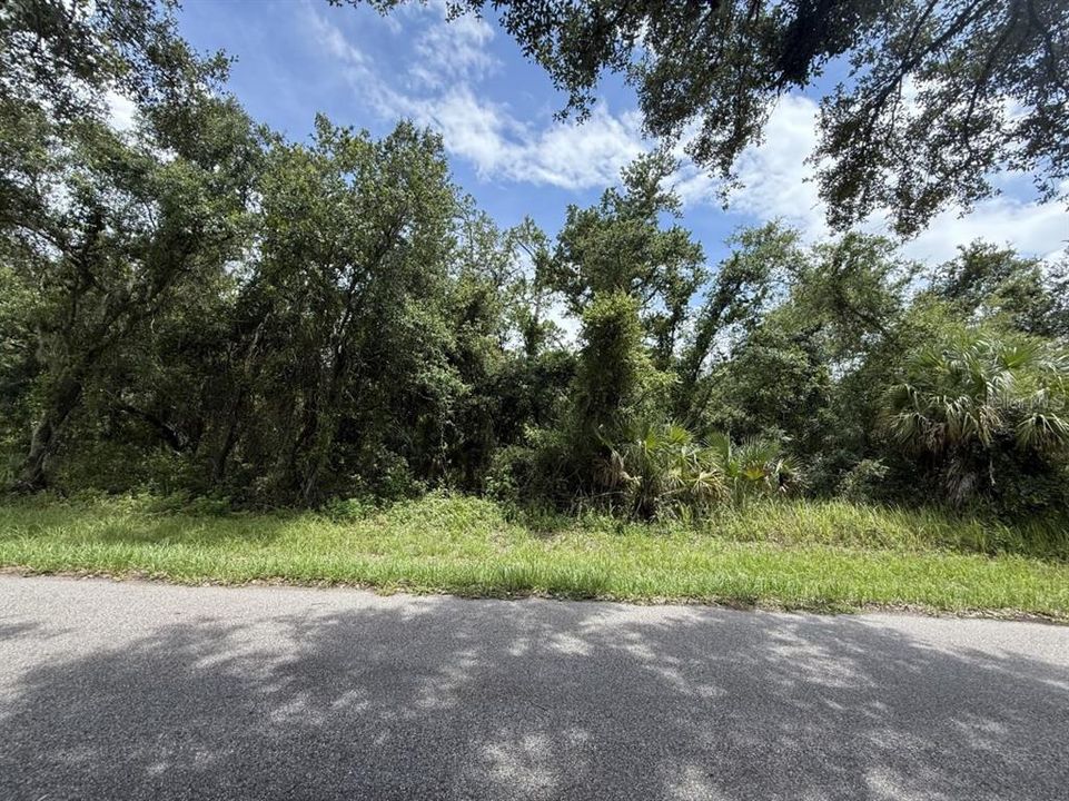 待售: $17,500 (0.23 acres)