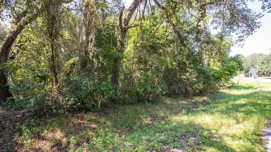 For Sale: $55,000 (1.03 acres)
