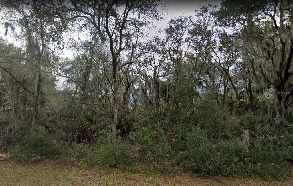 For Sale: $22,500 (0.23 acres)