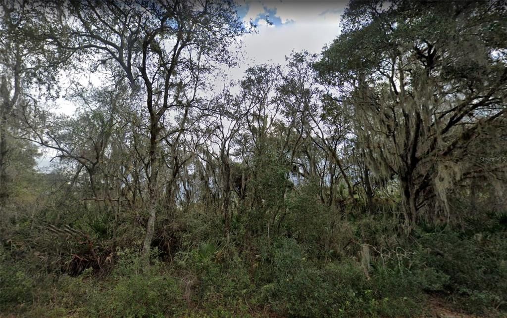 For Sale: $22,500 (0.23 acres)