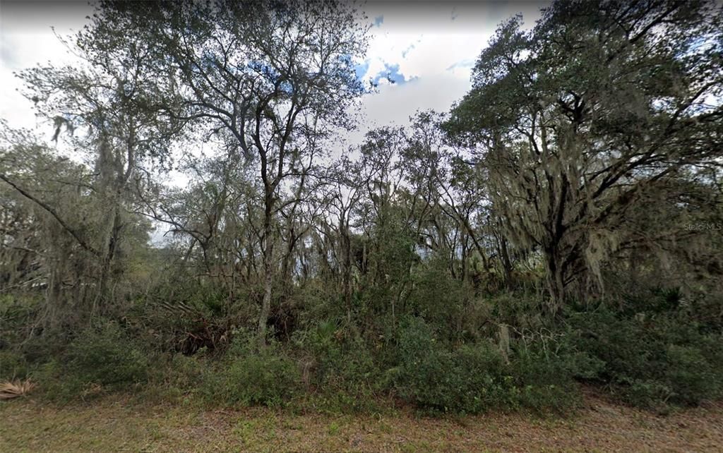For Sale: $22,500 (0.23 acres)