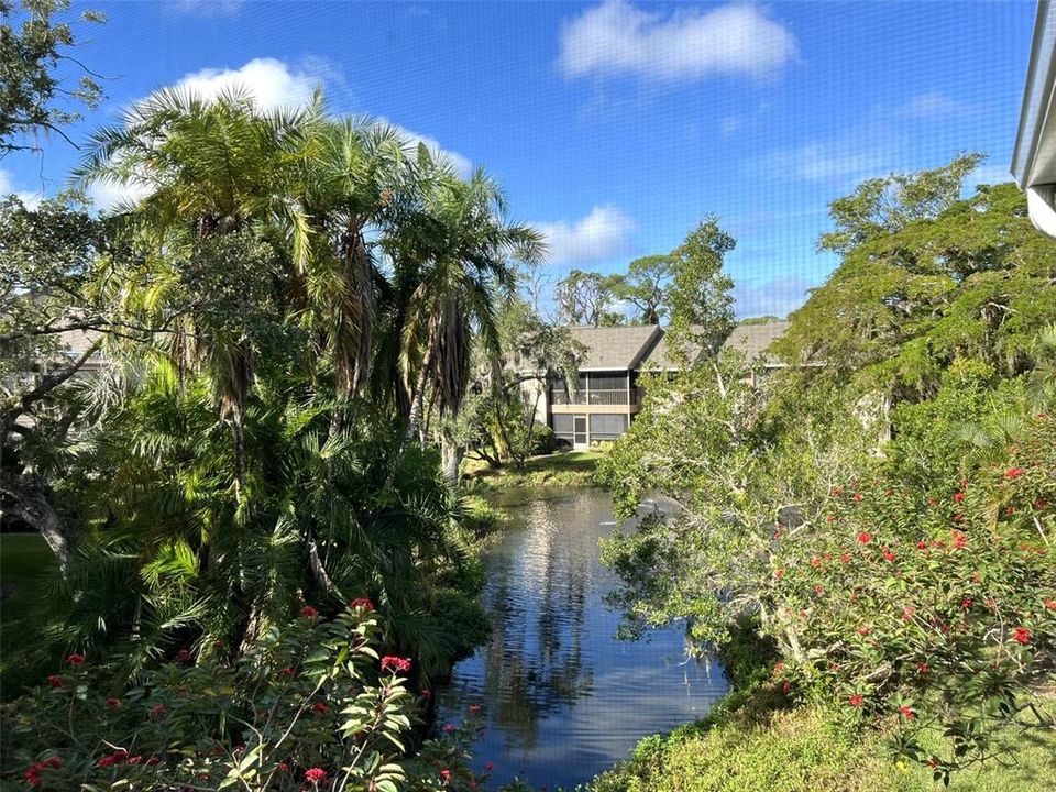 На продажу: $249,000 (2 спален, 2 ванн, 1245 Квадратных фут)