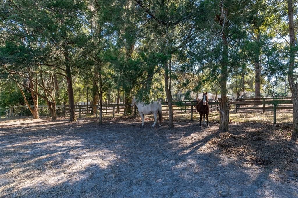 На продажу: $625,000 (3 спален, 2 ванн, 1786 Квадратных фут)