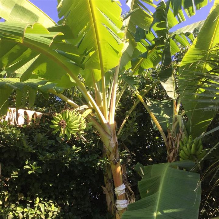 En Renta: $7,775 (5 camas, 5 baños, 4250 Pies cuadrados)