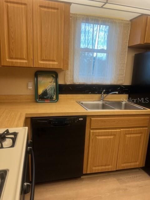 出租: $1,750 (2 贝兹, 2 浴室, 1245 平方英尺)