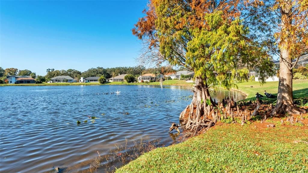 For Sale: $439,000 (3 beds, 3 baths, 2136 Square Feet)