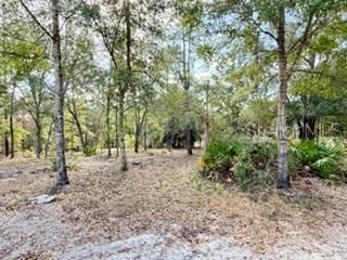 待售: $225,000 (3 贝兹, 2 浴室, 1440 平方英尺)