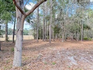 En Venta: $225,000 (3 camas, 2 baños, 1440 Pies cuadrados)