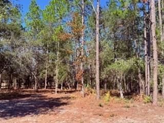 待售: $225,000 (3 贝兹, 2 浴室, 1440 平方英尺)