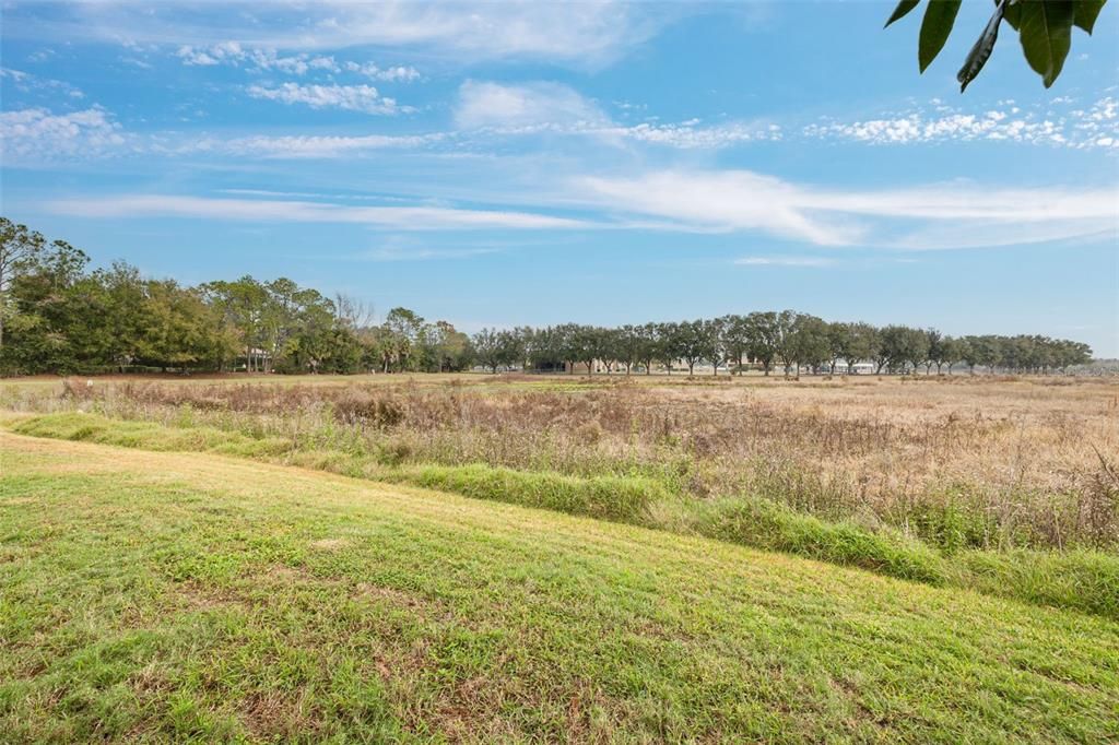 For Sale: $419,900 (3 beds, 2 baths, 1578 Square Feet)