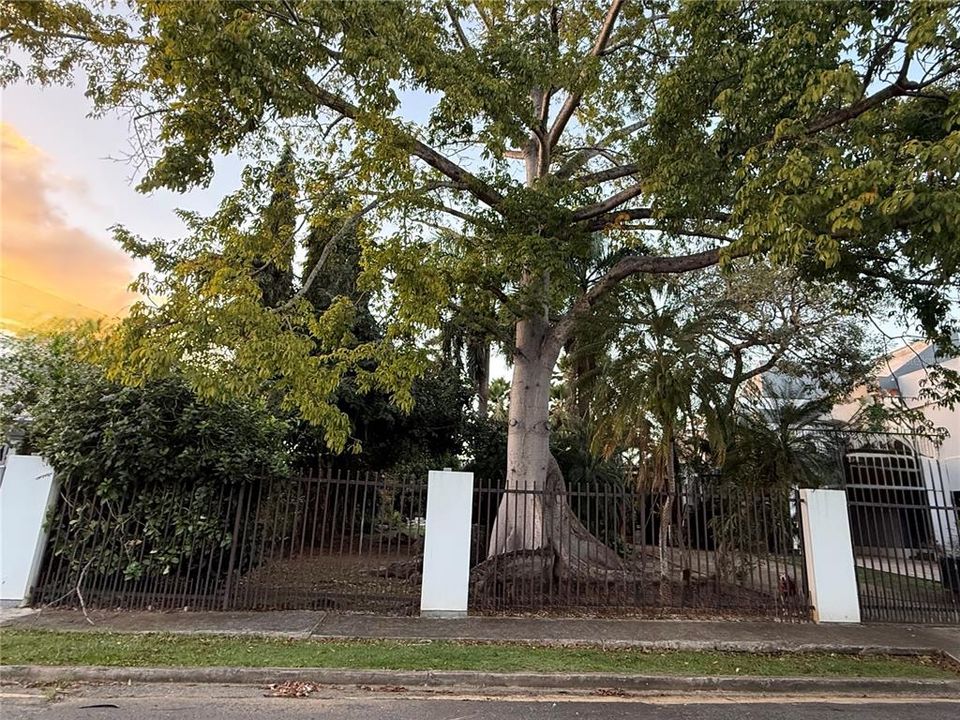 For Sale: $1,000,000 (0.25 acres)