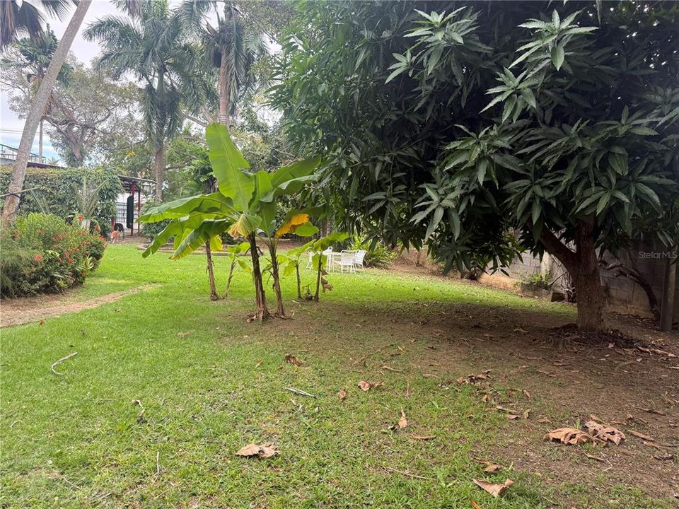 For Sale: $1,000,000 (0.25 acres)