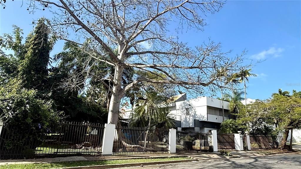 For Sale: $1,000,000 (0.25 acres)