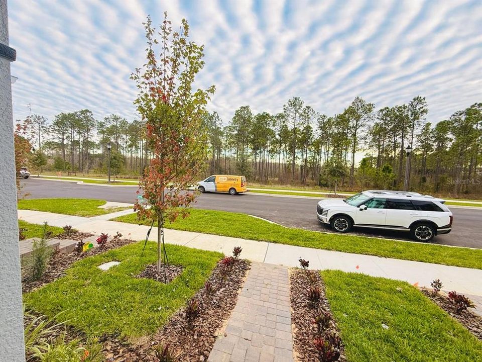 В аренду: $2,900 (3 спален, 2 ванн, 1684 Квадратных фут)