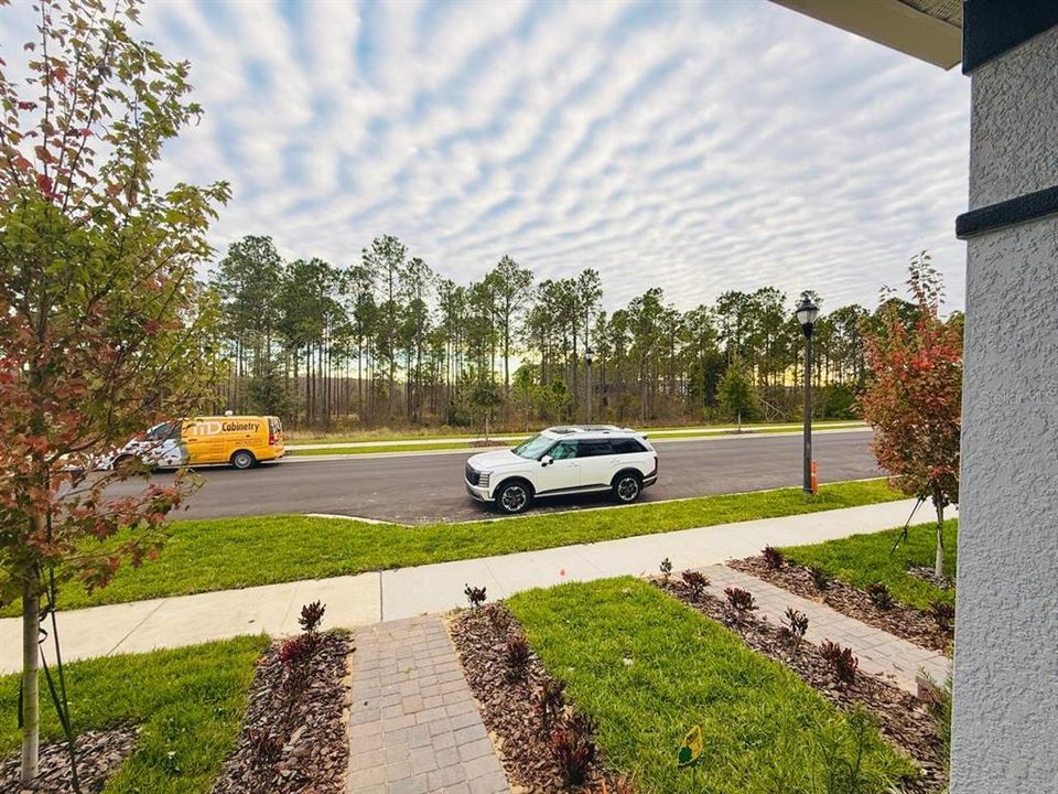 В аренду: $2,900 (3 спален, 2 ванн, 1684 Квадратных фут)