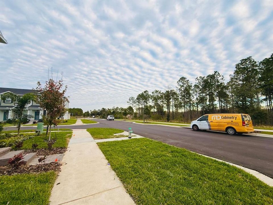 В аренду: $2,900 (3 спален, 2 ванн, 1684 Квадратных фут)