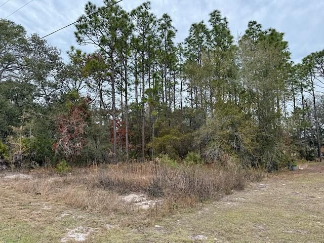 На продажу: $57,500 (0.46 acres)