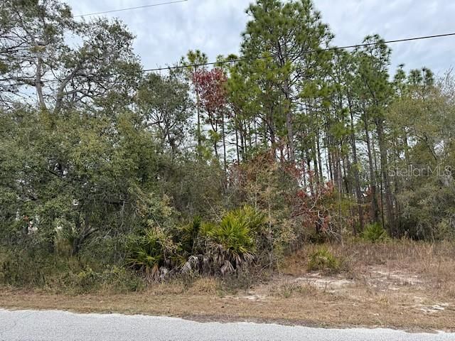 На продажу: $57,500 (0.46 acres)