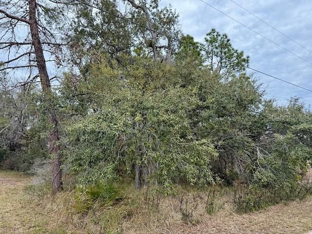 На продажу: $57,500 (0.46 acres)