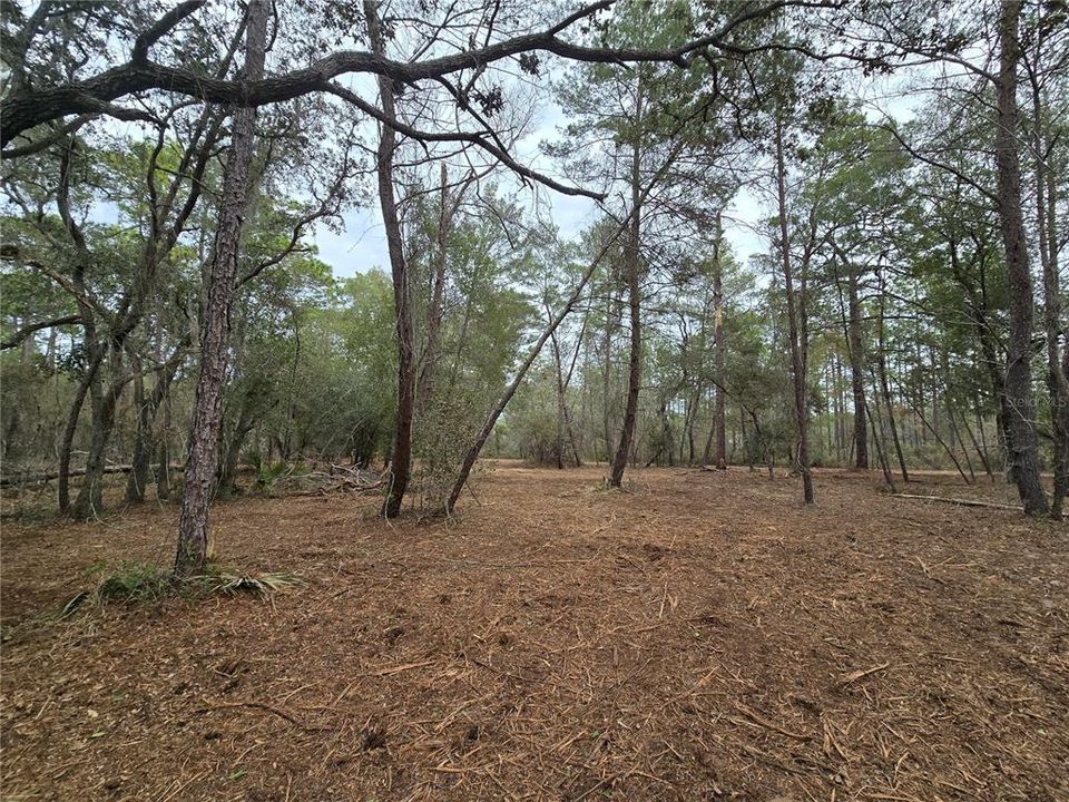 На продажу: $110,000 (5.07 acres)